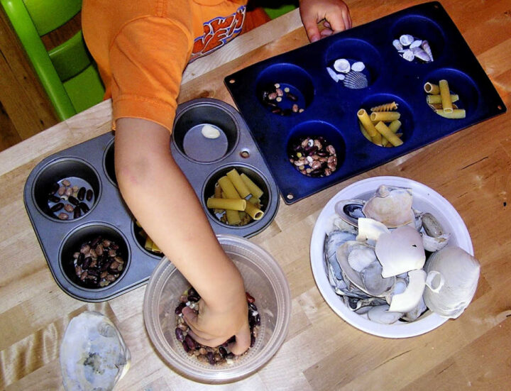 Child sorting  shells and beans in a muffin tin