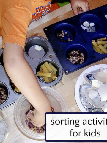 Child sorting objects in to muffin tins