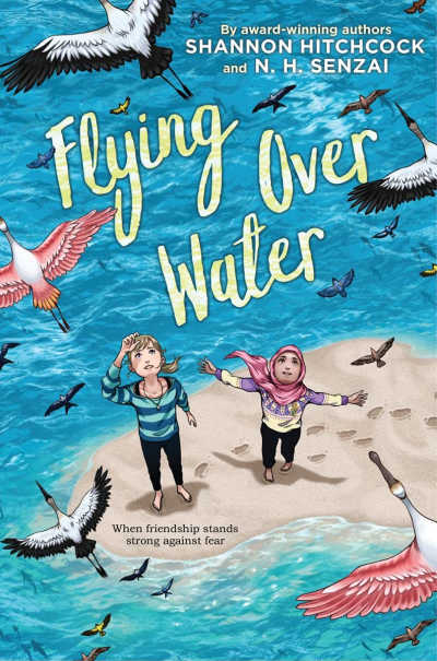 Flying Over Water book cover