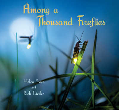 Among a Thousand Fireflies book cover