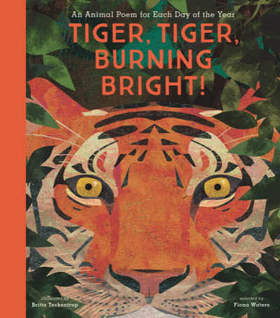 Tiger Tiger Burning Bright book cover