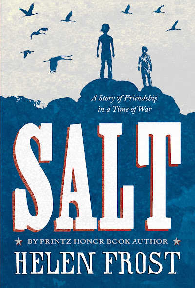 Salt book cover