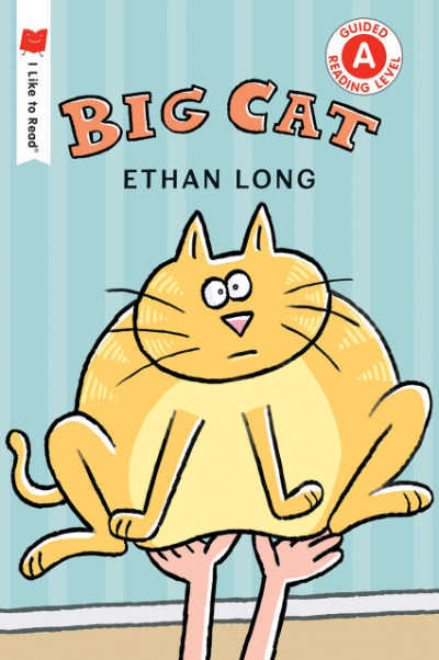 Big Cat 1st grade summer reading book cover