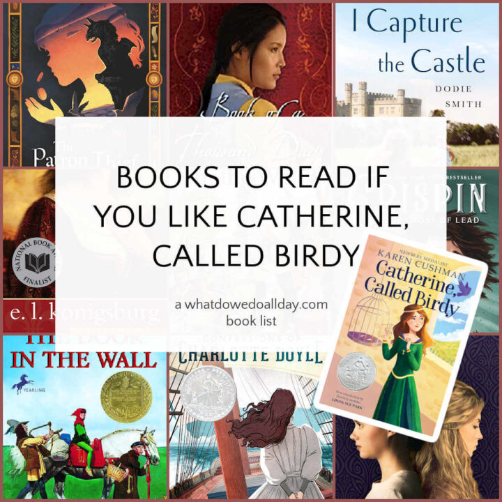 Collage of books like Catherine Called Birdy