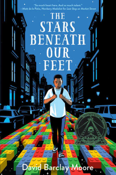 The Stars Beneath Our Feet book cover