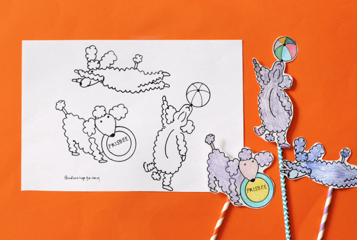 Poodle coloring page and three finished poodle stick puppets