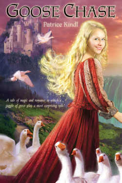 Goose Chase book cover
