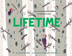 Lifetime math book cover