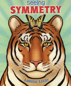 Seeing Symmetry book cover