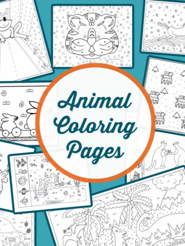 Collage of animal coloring pages