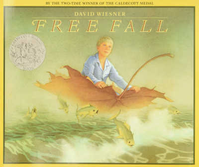 Free Fall wordless picture book