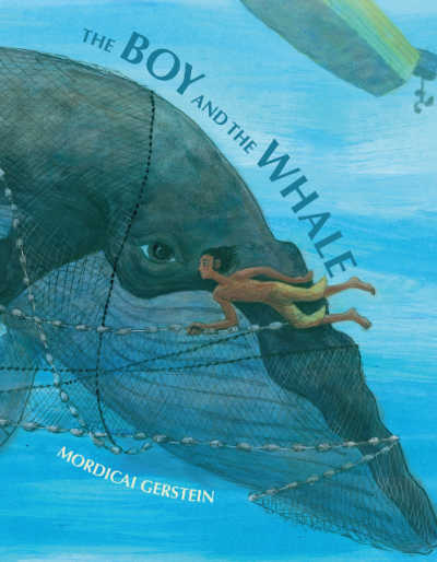 The Boy and the Whale picture book