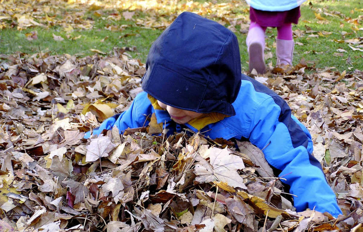 Child in fall leaf pile