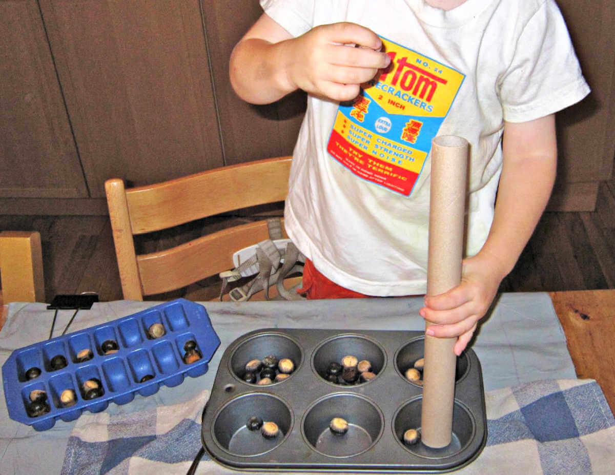 Child dropping acorns through paper roll into a muffin pan next to an ice cube tray filled with acorns on table