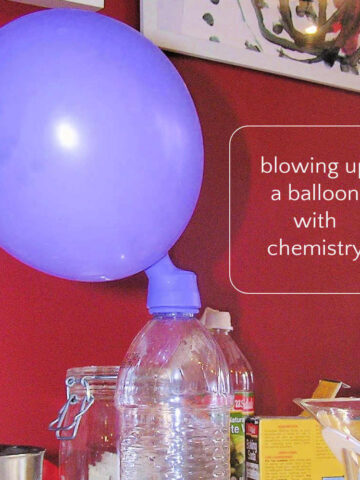 Inflated purple ballon on plastic bottle with household items on tables