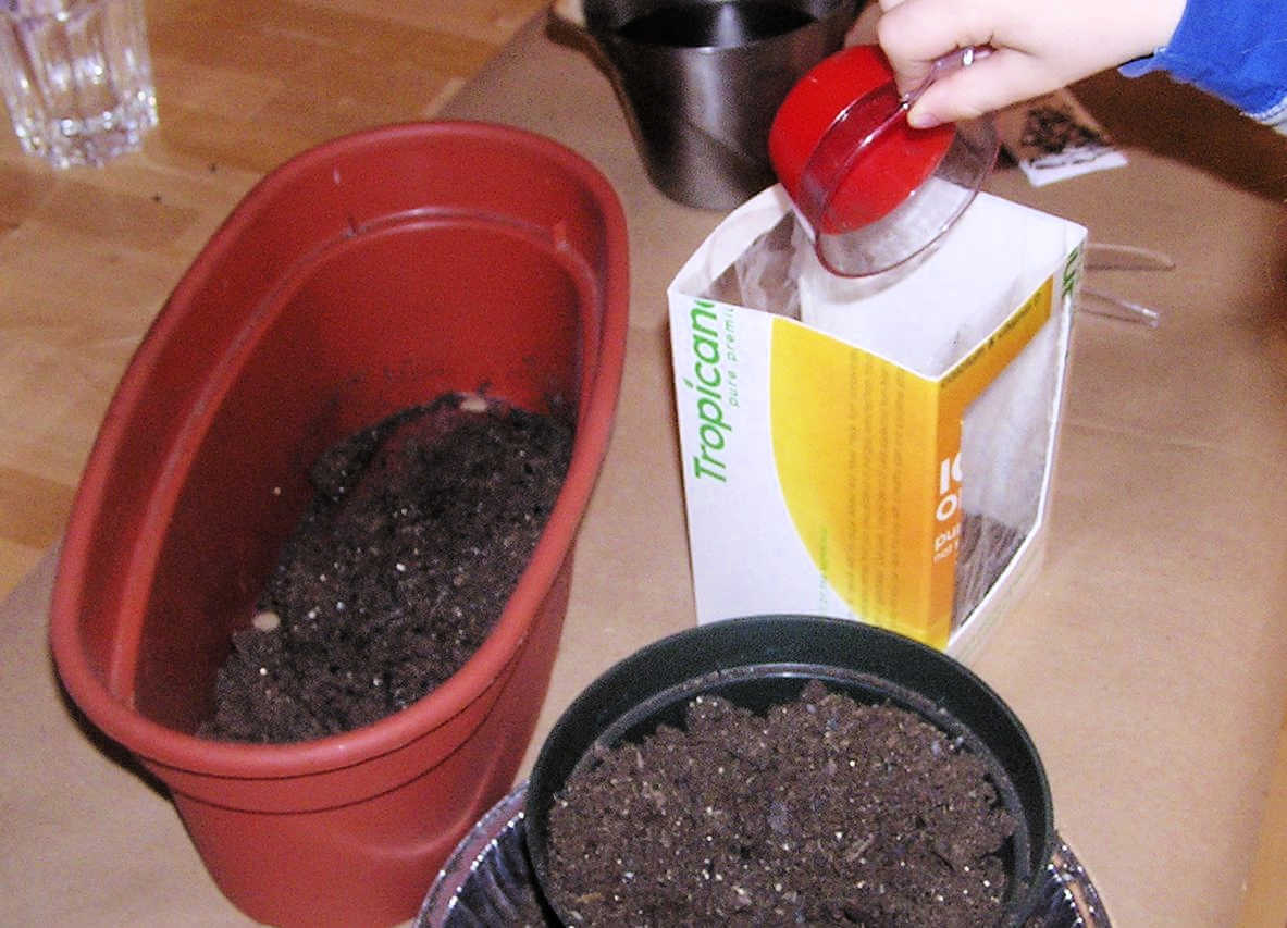 Filing OJ carton with soil