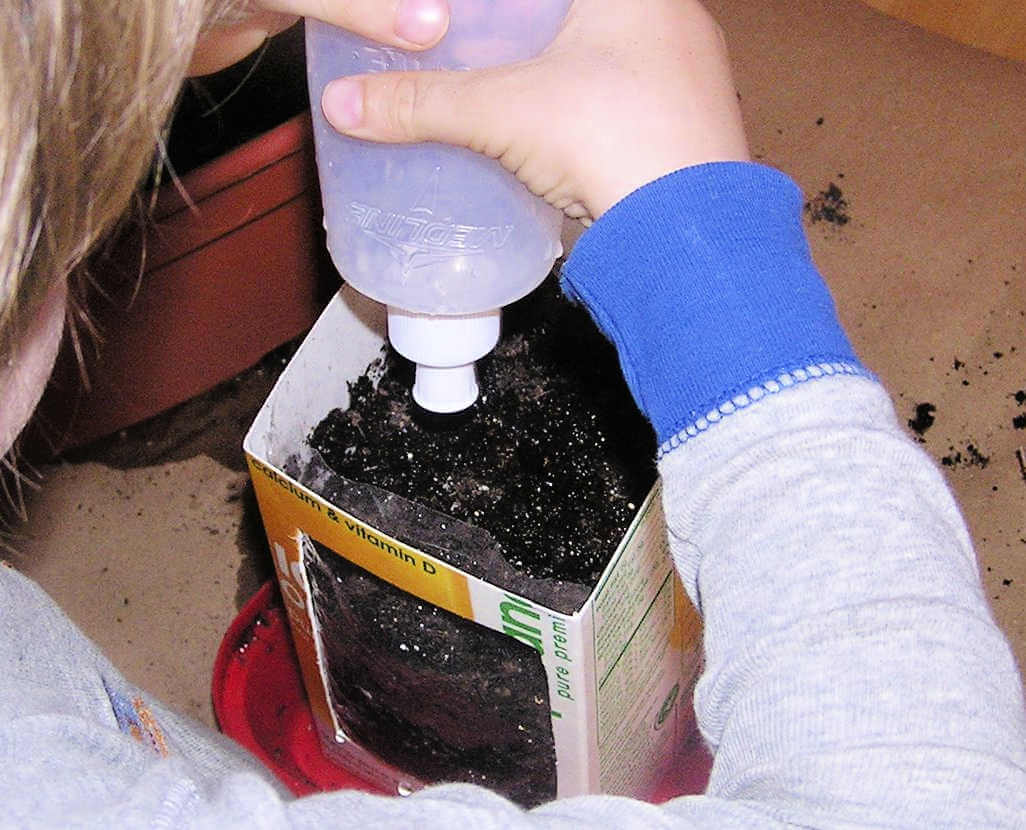 Child spraying soil in root vegetable planter with water bottle
