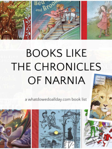 Collage of books like narnia for middle grade readers