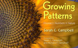Growing Patterns book cover.