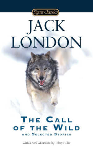 The Call of the Wild book with close up of wolf on cover.