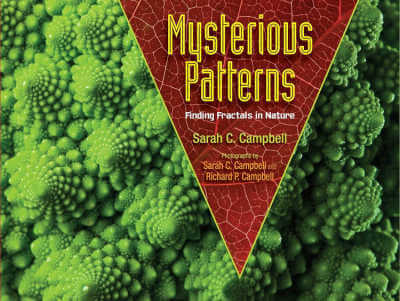 Mysterious Patterns by Sarah C. Campbell, book cover.