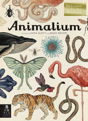 Animalium book cover.