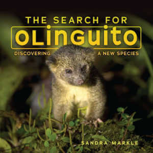 The Search for Olinguito, book cover.