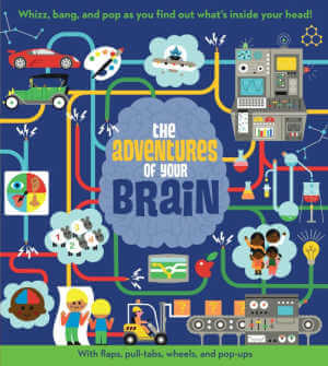 The Adventures of Your Brain, book cover.