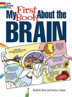 My First Book about the Brain coloring book.