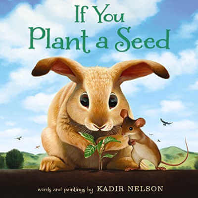 If You Plant a Seed, book cover.