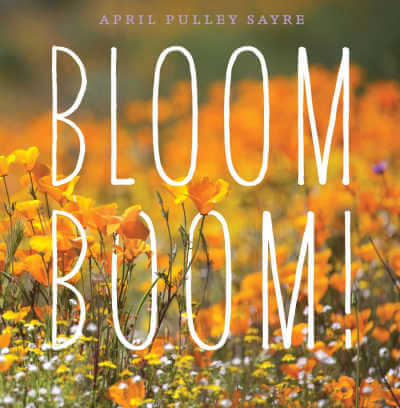 Bloom Boom, nature poetry book cover.