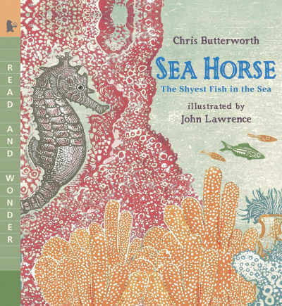 Sea Horse: The Shyest Fish in the Sea, picture book cover.
