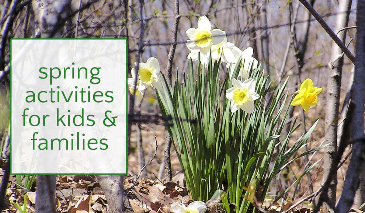 Daffodils in the woods with text overlay, spring activities for kids and families.