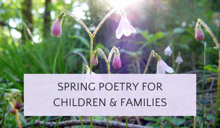Pink spring blossoms in forest with text spring poetry for children and families.