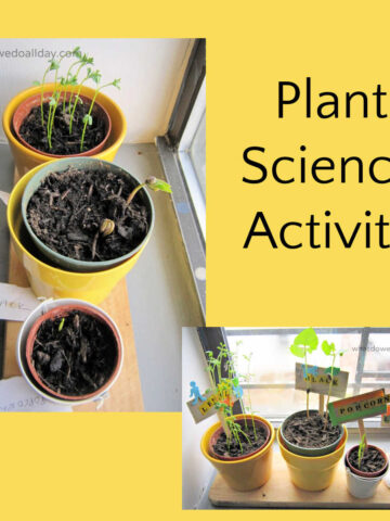 Two photos of small pots in a window with sprouting seeds. Text reads: Plant Science Activity.