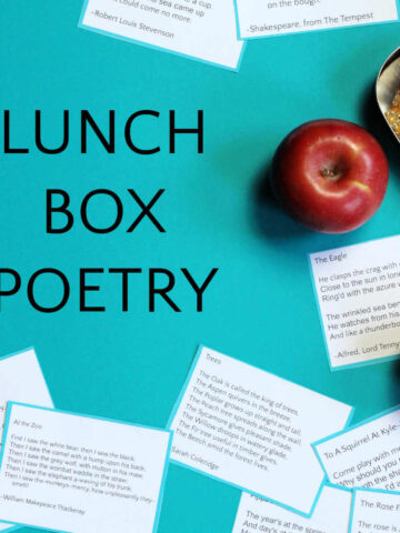Scattered poems on paper next to apple, orange and snacks with text overlay, Lunch Box Poems.