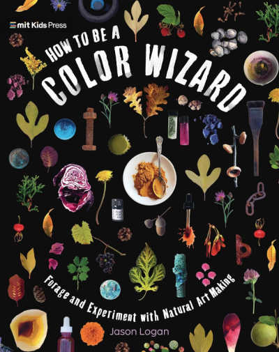 Book cover for How to Be a Color Wizard.