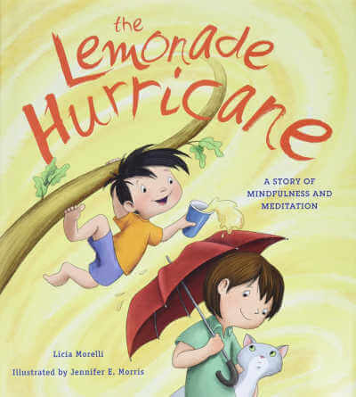 Book cover for The Lemonade Hurricane.