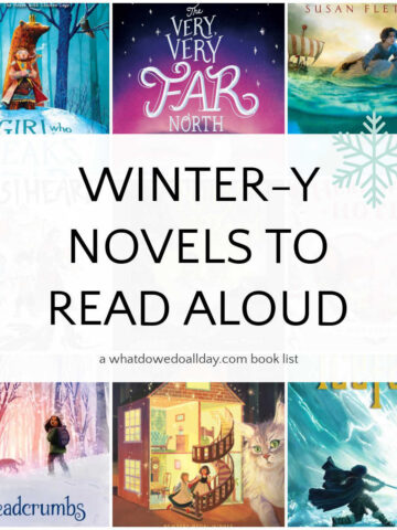 Collage of book covers with text overlay, "Wintery Novels to Read Aloud."
